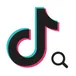 Tiktok Search (With Page Cursor) avatar