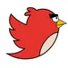 Twitter X-Plorer 🦜 avatar